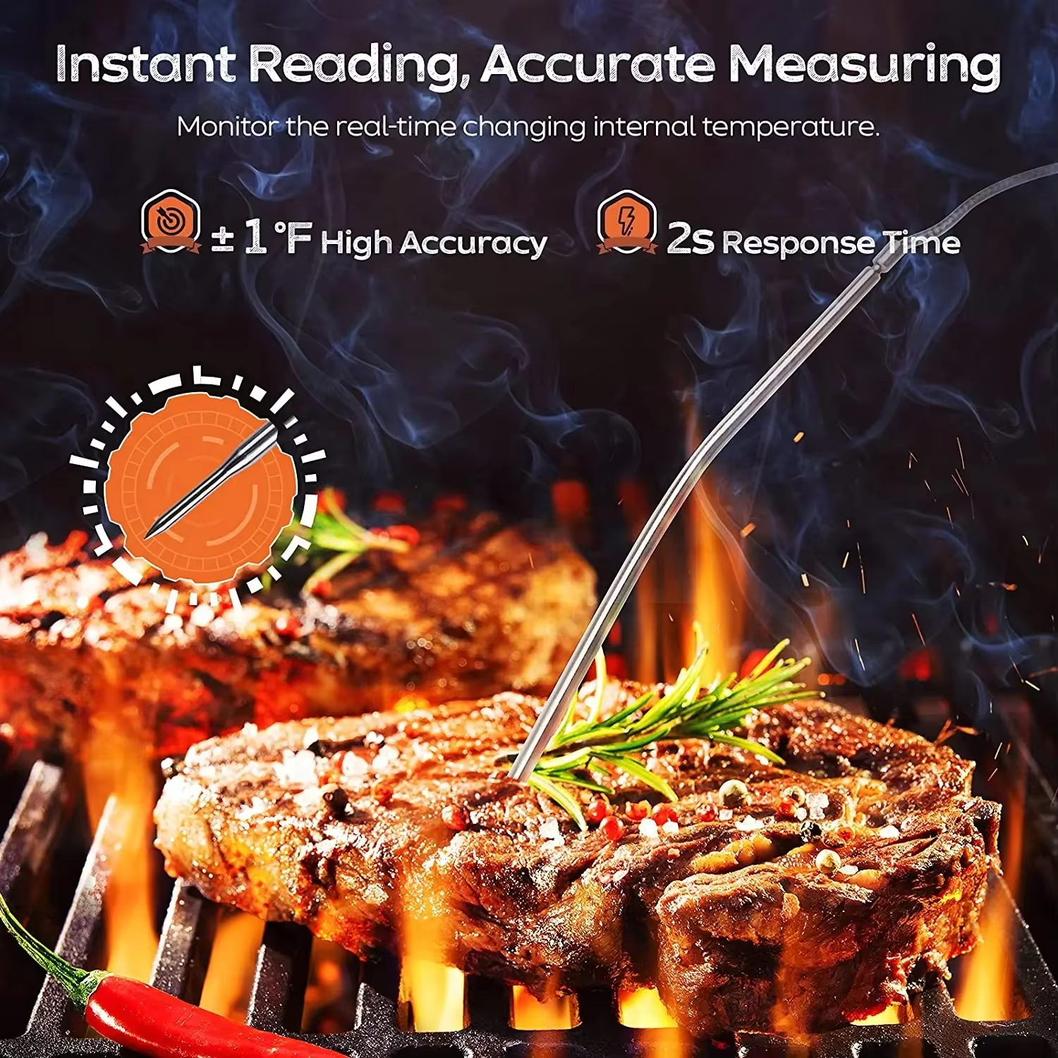 HOMEFISH Digital Meat Kitchen  - Digital Thermometer Probe avaliação e preço